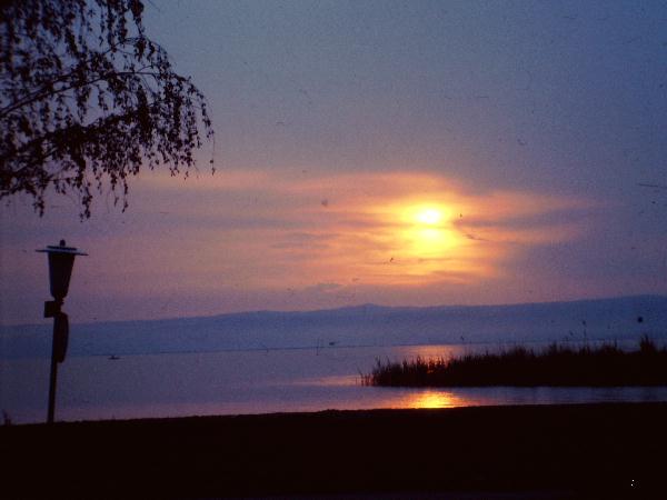 Neusiedler See