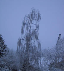 Westmüster im Schnee